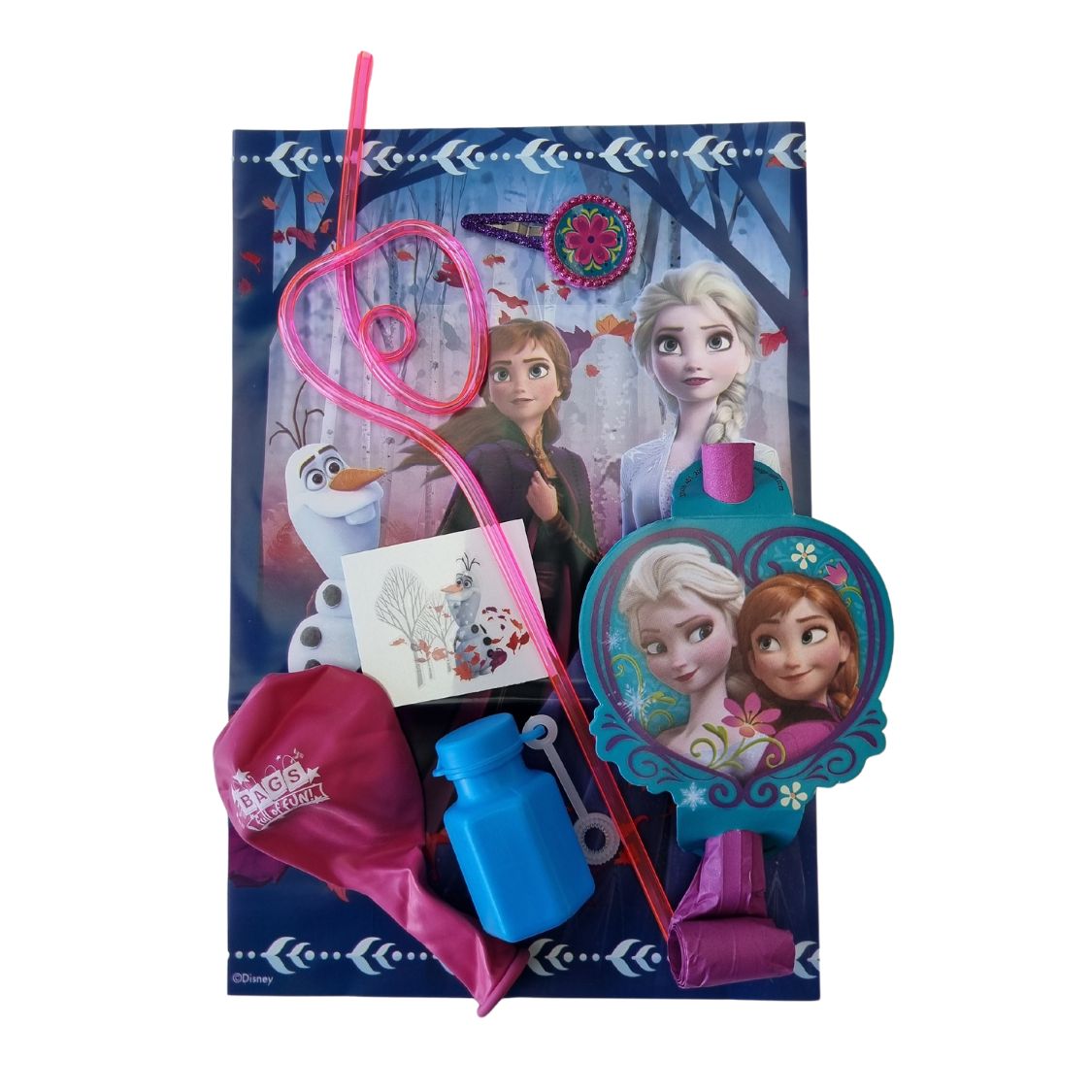 Frozen Clip Premade Party Bag